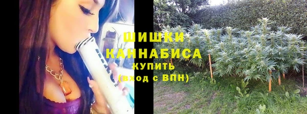 мет Белокуриха